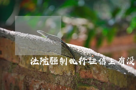 法院强制执行征信上有没有 法院强制执行征信上有没有