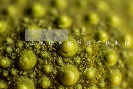 法院强制执行房产税款谁承担