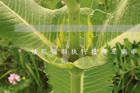 法院强制执行抵押车辆申请书 法院强制执行抵押车辆申请书