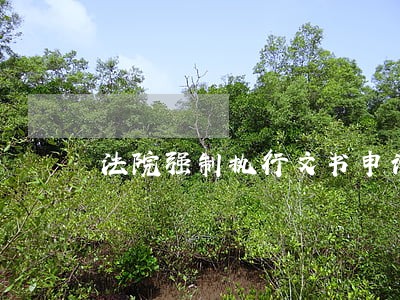 法院强制执行文书申请书 法院强制执行文书申请书