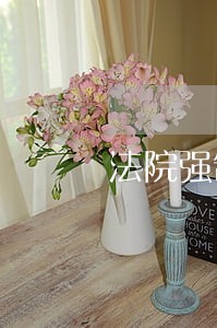 法院强制执行时会怎么样 法院强制执行时会怎么样
