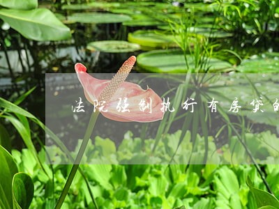 法院强制执行有房贷的房子