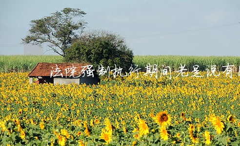 法院强制执行期间老是说有困难