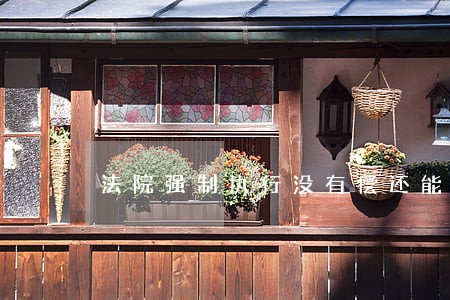 法院强制执行没有偿还能力如何办