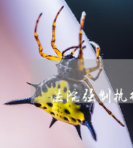 法院强制执行没有钱还 法院强制执行没有钱还