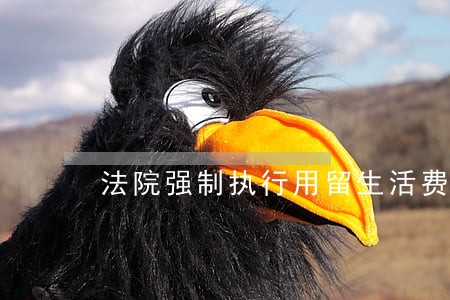 法院强制执行用留生活费不 法院强制执行用留生活费不