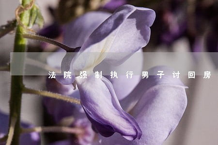 法院强制执行男子讨回房屋 法院强制执行男子讨回房屋