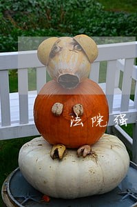 法院强制执行的钱被告给了 法院强制执行的钱被告给了