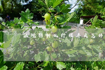 法院强制执行程序是怎样的 法院强制执行程序是怎样的