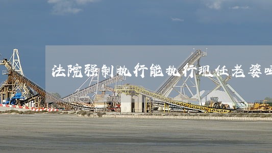 法院强制执行能执行现任老婆吗