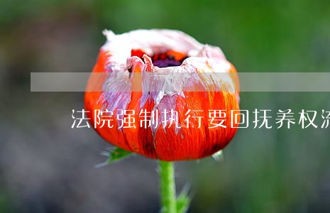 法院强制执行要回抚养权流程 法院强制执行要回抚养权流程