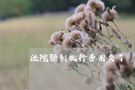 法院强制执行费用交了 法院强制执行费用交了