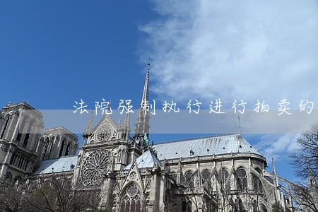 法院强制执行进行拍卖的地点 法院强制执行进行拍卖的地点