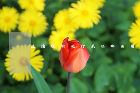 法院强制执行采取哪些措施 法院强制执行采取哪些措施