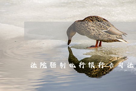 法院强制执行银行卡司法冻结多久 法院强制执行银行卡司法冻结多久