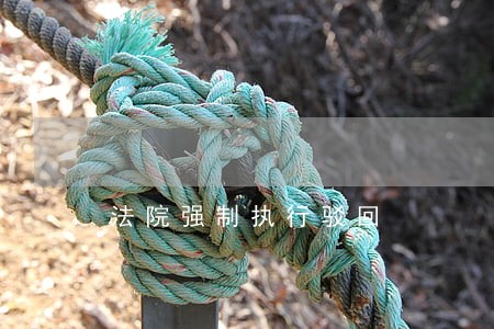 法院强制执行驳回