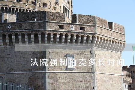 法院强制拍卖多长时间 法院强制拍卖多长时间