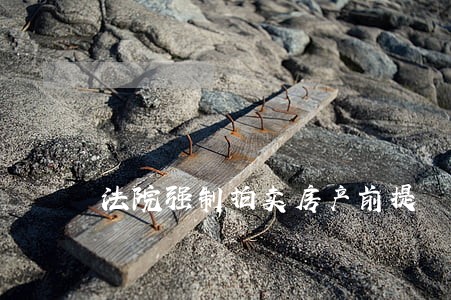 法院强制拍卖房产前提 法院强制拍卖房产前提