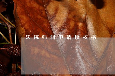 法院强制申请授权书 法院强制申请授权书