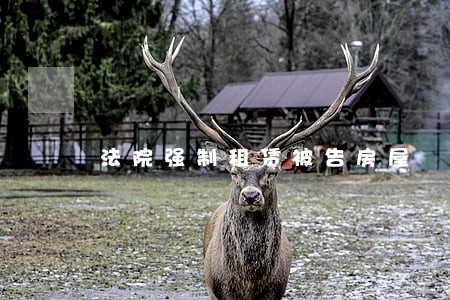 法院强制租赁被告房屋