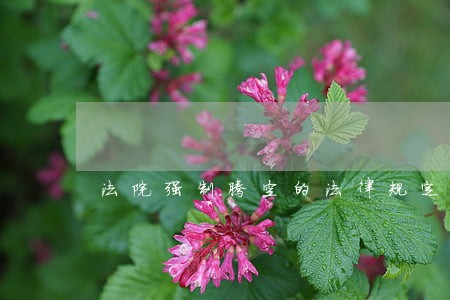 法院强制腾空的法律规定 法院强制腾空的法律规定