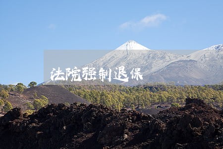 法院强制退保 法院强制退保