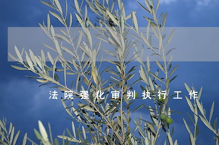 法院强化审判执行工作