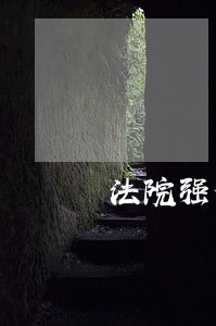法院强化执行工作总结 法院强化执行工作总结