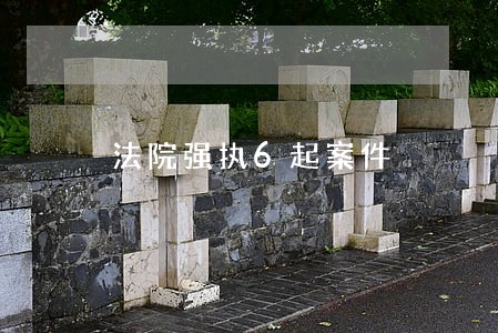 法院强执6起案件 法院强执6起案件