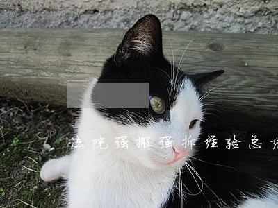 法院强搬强拆经验总结 法院强搬强拆经验总结