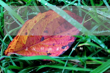 法院归档案已和解 法院归档案已和解