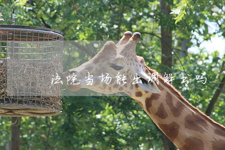 法院当场能出调解书吗 法院当场能出调解书吗