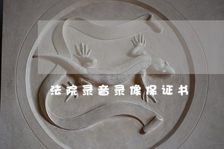 法院录音录像保证书