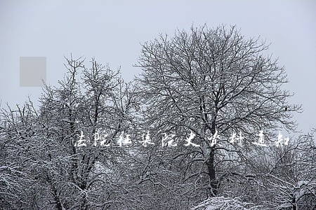 法院征集院史资料通知 法院征集院史资料通知