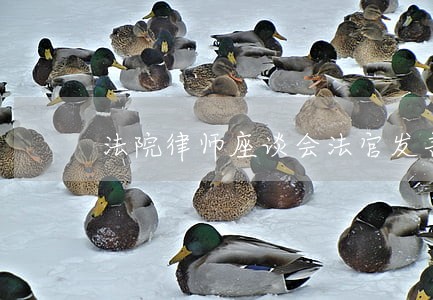 法院律师座谈会法官发言