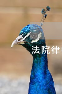 法院律师费办完案收费还是
