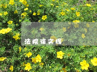法院徐文辉