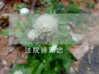 法院徐新忠 法院徐新忠