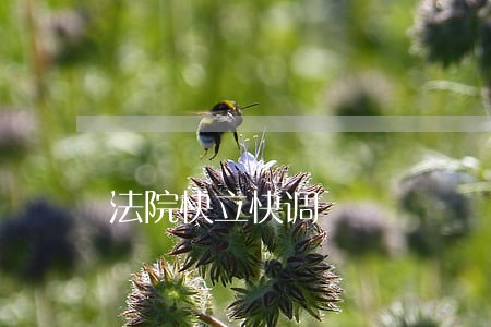 法院快立快调 法院快立快调