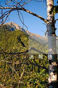 法院快递真正图片大全 法院快递真正图片大全