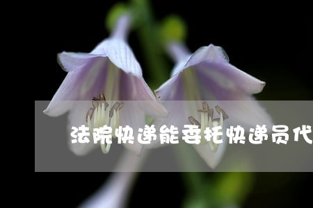 法院快递能委托快递员代收吗