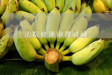 法院快速审理时间 法院快速审理时间
