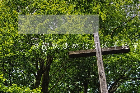 法院快速执行可以不经审判吗 法院快速执行可以不经审判吗
