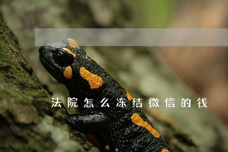 法院怎么冻结微信的钱 法院怎么冻结微信的钱