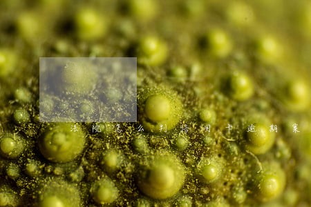 法院怎么判信用卡逾期案 法院怎么判信用卡逾期案