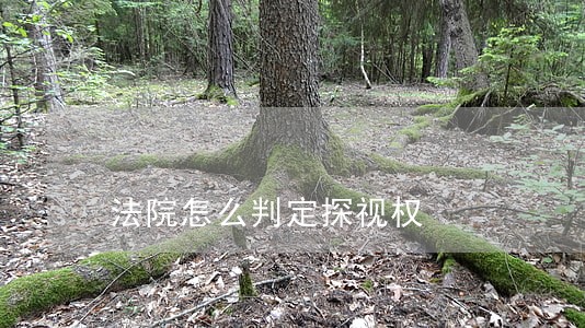法院怎么判定探视权 法院怎么判定探视权