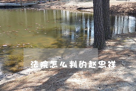 法院怎么判的赵忠祥 法院怎么判的赵忠祥