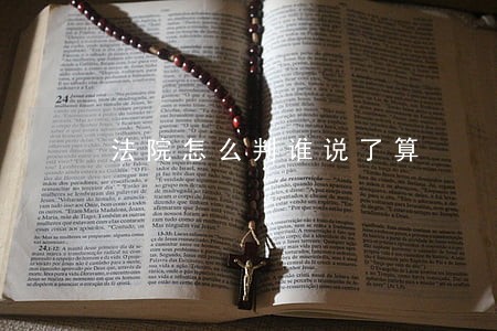 法院怎么判谁说了算 法院怎么判谁说了算