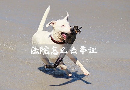 法院怎么去举证