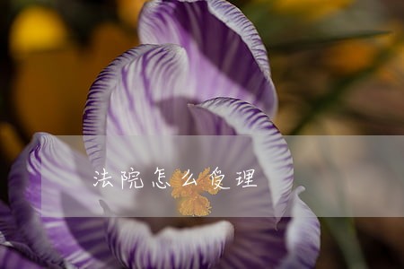 法院怎么受理 法院怎么受理